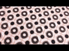 Les dentelles solubles dans l'eau courantes de masse équilibrent le tissu d'équilibre de dentelle de broderie de guipure